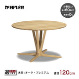 カリモク 食卓テーブル 丸 ダイニング 食堂 テーブル dw4401 直径120cm 1本脚 おしゃれ 安心 国産 karimoku