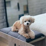 フランスペット PE01 ペットステップベンチ 幅90cm 奥行31.8cm ペット家具 国産 France Pet 301738000 スリム すっきり シンプル おしゃれ