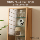 カリモク キュリオケース QT1810 オーク材  コレクションボード 幅48.7cm 飾棚 コンパクト 安心 国産 karimoku